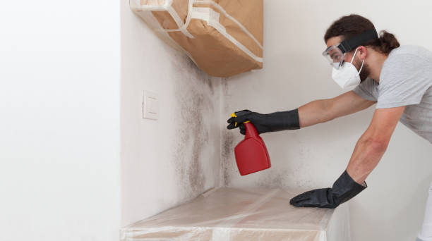 Professional Crawl Space Mold Removal technician working in Carrollton, KY